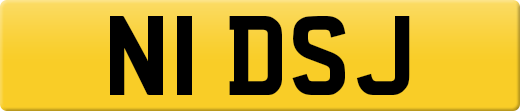 N1DSJ