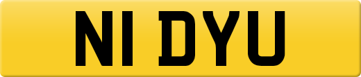 N1DYU