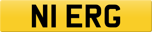 N1ERG