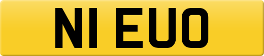 N1EUO