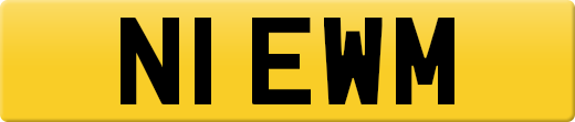 N1EWM