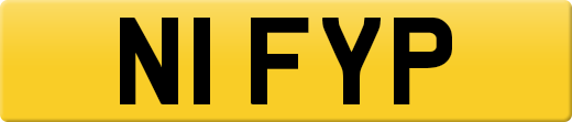 N1FYP