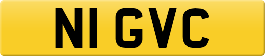 N1GVC