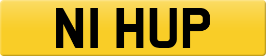 N1HUP