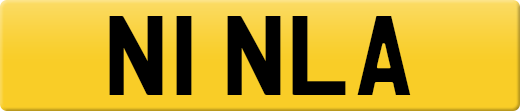 N1NLA