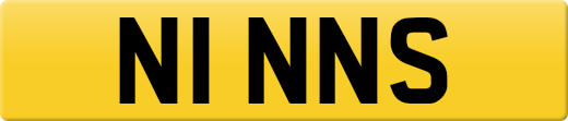 N1NNS