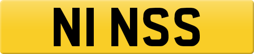 N1NSS