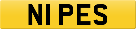 N1PES