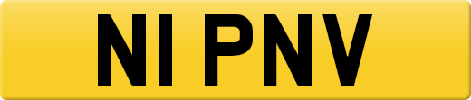 N1PNV