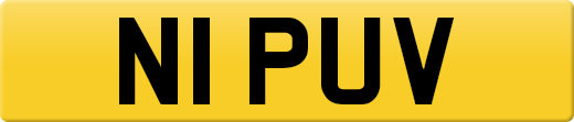 N1PUV