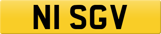 N1SGV