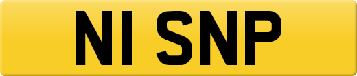 N1SNP
