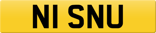 N1SNU