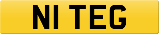 N1TEG