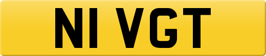 N1VGT