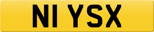 N1YSX
