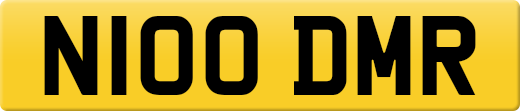 N100DMR