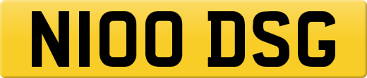 N100DSG