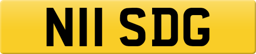 N11SDG