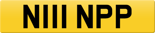 N111NPP