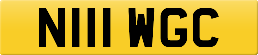 N111WGC
