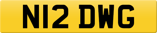 N12DWG