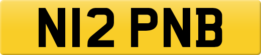 N12PNB