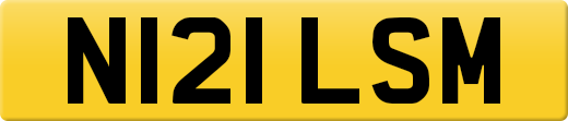 N121LSM