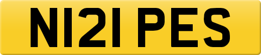 N121PES