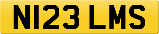 N123LMS