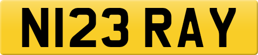 N123RAY