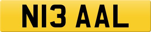 N13AAL