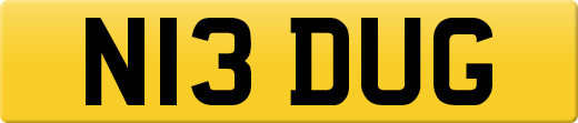 N13DUG