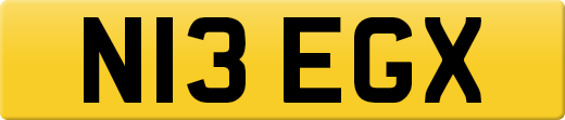 N13EGX