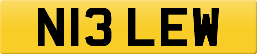 N13LEW