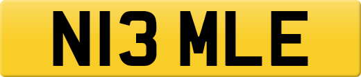 N13MLE
