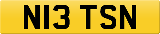 N13TSN