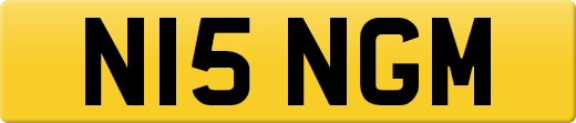 N15NGM