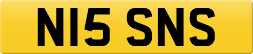 N15SNS