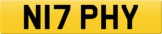 N17PHY