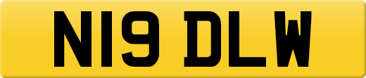N19DLW