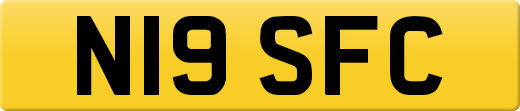 N19SFC