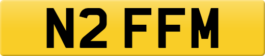 N2FFM