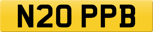 N20PPB