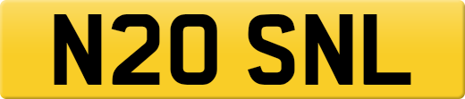 N20SNL