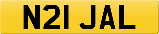 N21JAL