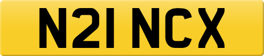 N21NCX
