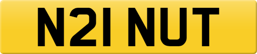 N21NUT