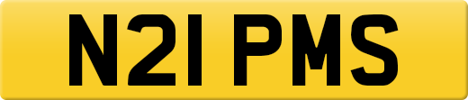 N21PMS