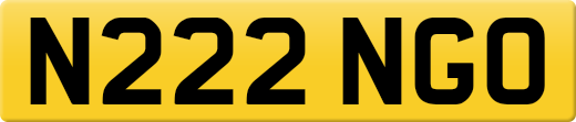 N222NGO
